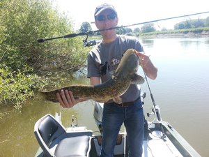 9 (Copier).jpg (172.28 Kio) Consulté 5483 fois premier poisson