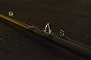 DSC_0258.jpg