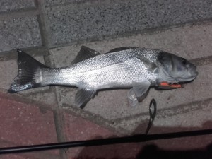 20161109_215715.jpg