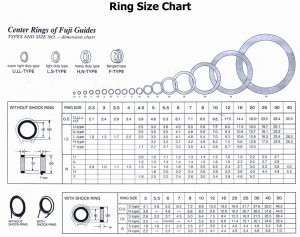 dimensions_des_anneaux_fuji.jpg