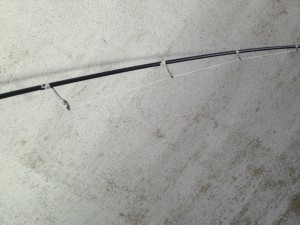 IMG_0088.jpeg