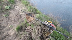 20170325_101316-800x450.jpg